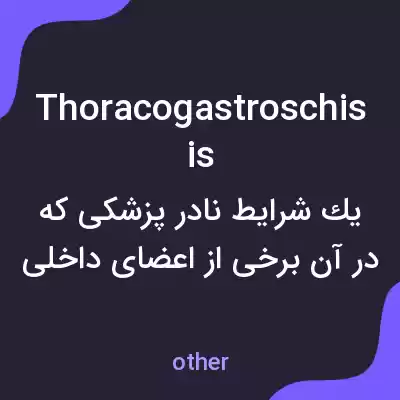 معنی thoracogastroschisis به فارسی معنی thoracogastroschisis به فارسی