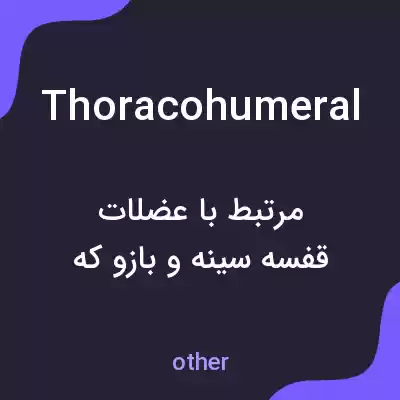 معنی thoracohumeral به فارسی معنی thoracohumeral به فارسی