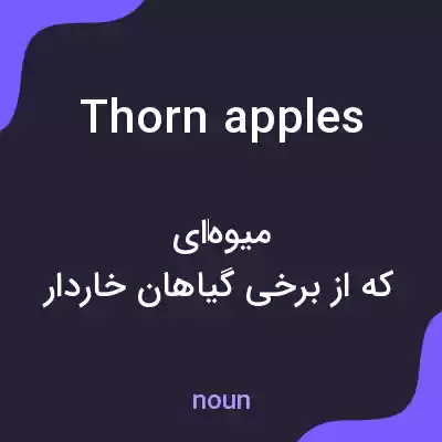 معنی thorn apples به فارسی