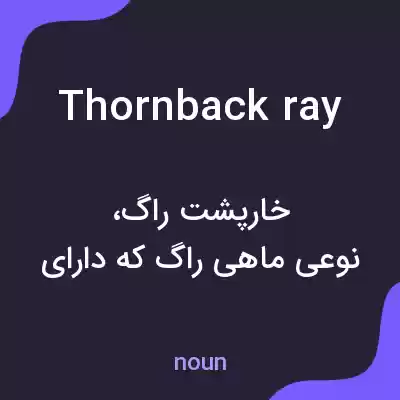 معنی thornback ray به فارسی معنی thornback ray به فارسی