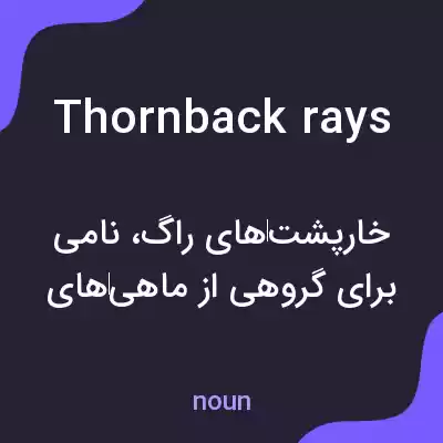 معنی thornback rays به فارسی معنی thornback rays به فارسی