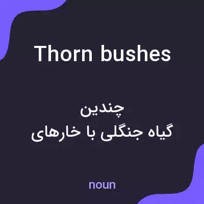 معنی thorn bushes به فارسی معنی thorn bushes به فارسی