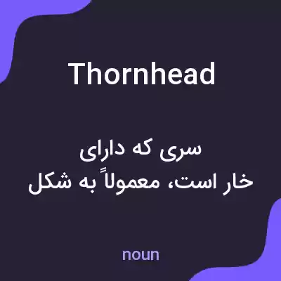 معنی thornhead به فارسی