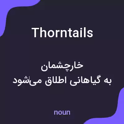 معنی thorntails به فارسی معنی thorntails به فارسی