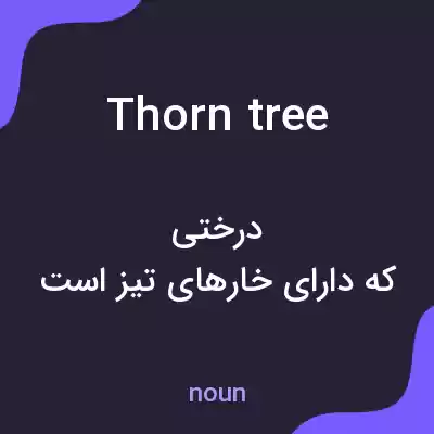معنی thorn tree به فارسی معنی thorn tree به فارسی