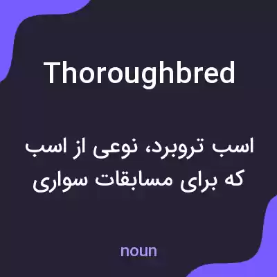 معنی thoroughbred به فارسی