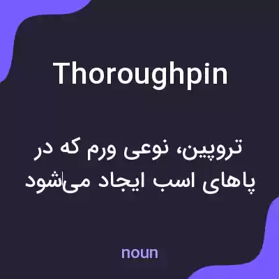 معنی thoroughpin به فارسی