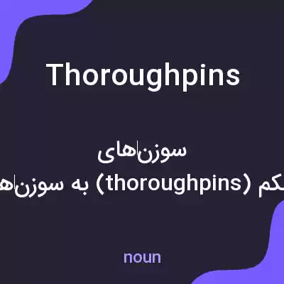 معنی thoroughpins به فارسی معنی thoroughpins به فارسی