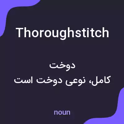 معنی thoroughstitch به فارسی معنی thoroughstitch به فارسی