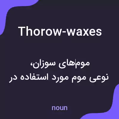 معنی thorow-waxes به فارسی