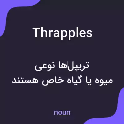 معنی thrapples به فارسی معنی thrapples به فارسی
