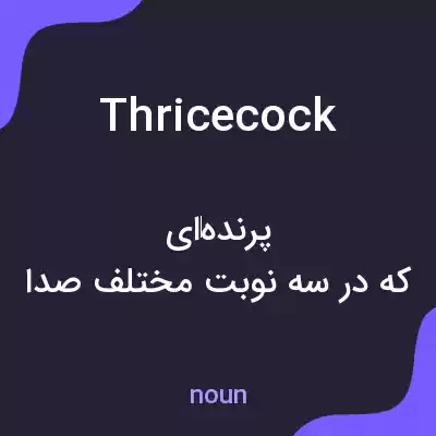 معنی thricecock به فارسی معنی thricecock به فارسی