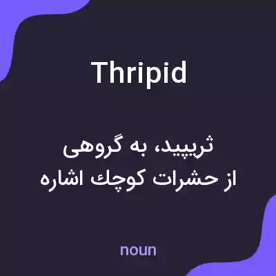 معنی thripid به فارسی معنی thripid به فارسی