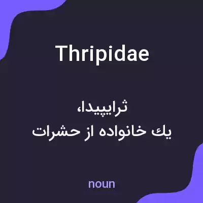 معنی thripidae به فارسی معنی thripidae به فارسی
