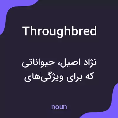 معنی throughbred به فارسی معنی throughbred به فارسی