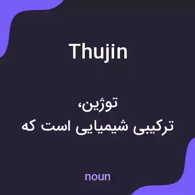 معنی thujin به فارسی معنی thujin به فارسی