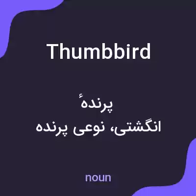 معنی thumbbird به فارسی معنی thumbbird به فارسی