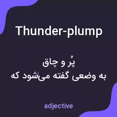 معنی thunder-plump به فارسی معنی thunder-plump به فارسی