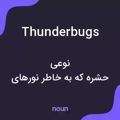 معنی thunderbugs به فارسی معنی thunderbugs به فارسی