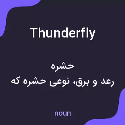 معنی thunderfly به فارسی معنی thunderfly به فارسی