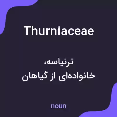 معنی thurniaceae به فارسی معنی thurniaceae به فارسی