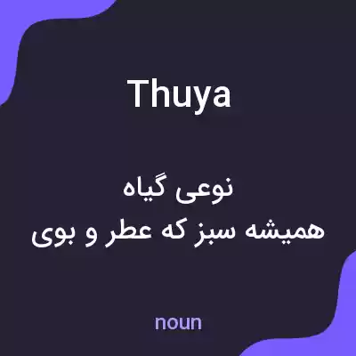 معنی thuya به فارسی معنی thuya به فارسی