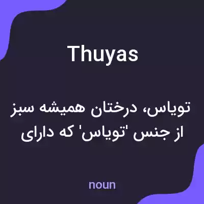 معنی thuyas به فارسی معنی thuyas به فارسی