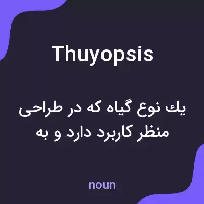 معنی thuyopsis به فارسی معنی thuyopsis به فارسی