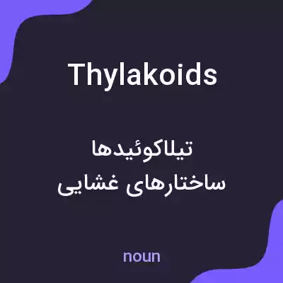 معنی thylakoids به فارسی معنی thylakoids به فارسی