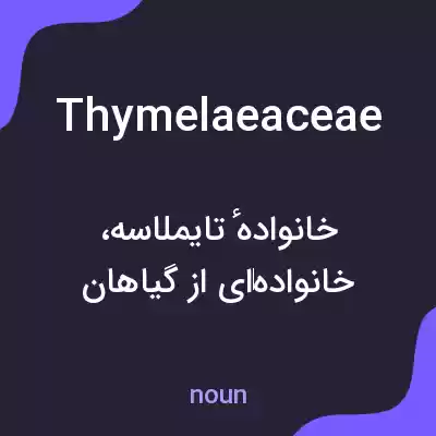 معنی thymelaeaceae به فارسی معنی thymelaeaceae به فارسی