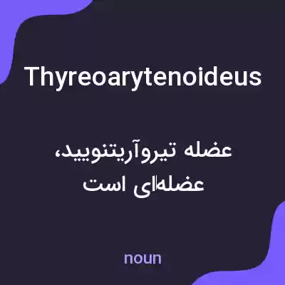 معنی thyreoarytenoideus به فارسی