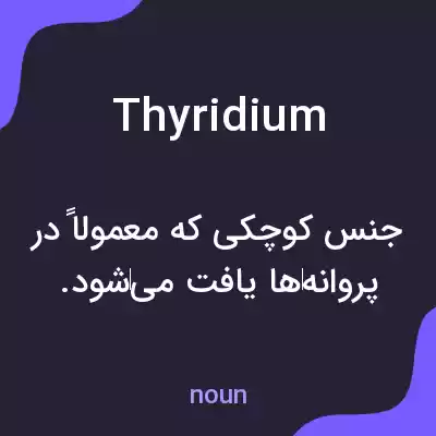 معنی thyridium به فارسی