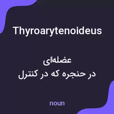 معنی thyroarytenoideus به فارسی