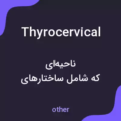 معنی thyrocervical به فارسی معنی thyrocervical به فارسی