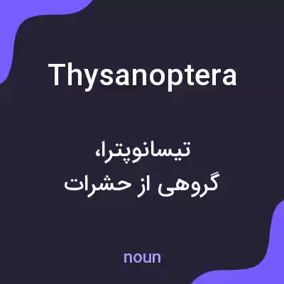 معنی thysanoptera به فارسی معنی thysanoptera به فارسی