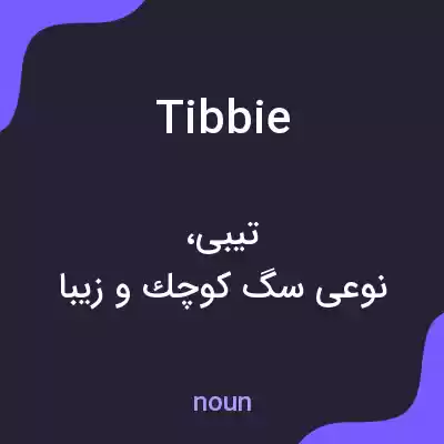 معنی tibbie به فارسی معنی tibbie به فارسی