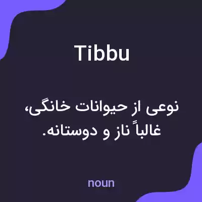 معنی tibbu به فارسی معنی tibbu به فارسی