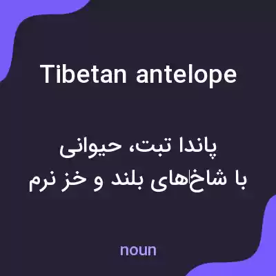 معنی tibetan antelope به فارسی معنی tibetan antelope به فارسی
