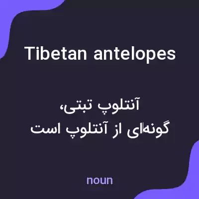 معنی tibetan antelopes به فارسی معنی tibetan antelopes به فارسی