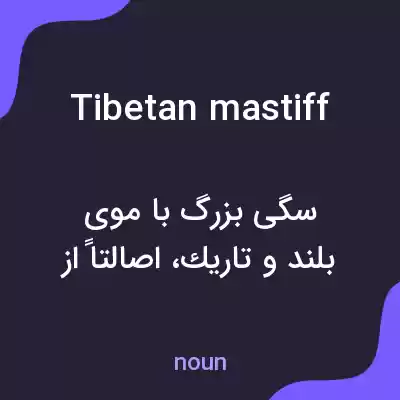 معنی tibetan mastiff به فارسی معنی tibetan mastiff به فارسی