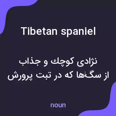 معنی tibetan spaniel به فارسی معنی tibetan spaniel به فارسی