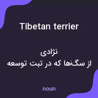 معنی tibetan terrier به فارسی معنی tibetan terrier به فارسی
