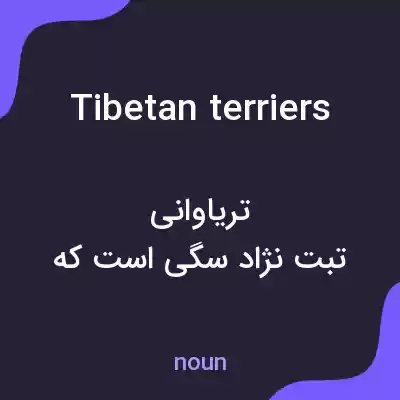 معنی tibetan terriers به فارسی معنی tibetan terriers به فارسی