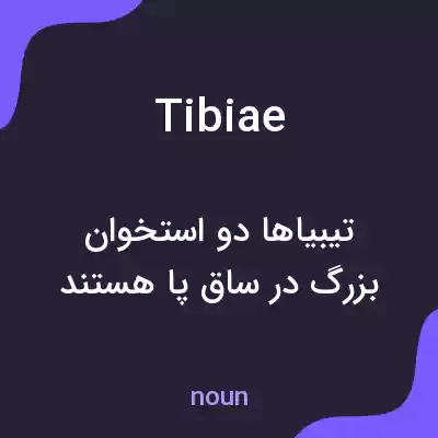 معنی tibiae به فارسی معنی tibiae به فارسی