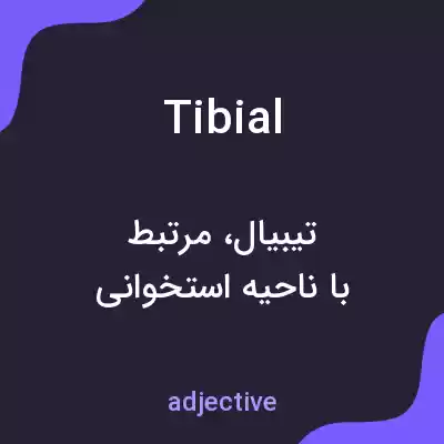 معنی tibial به فارسی معنی tibial به فارسی