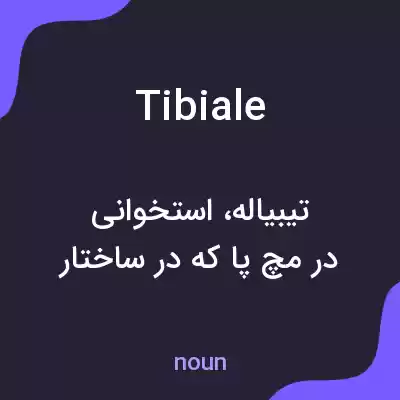 معنی tibiale به فارسی معنی tibiale به فارسی