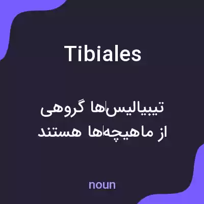 معنی tibiales به فارسی معنی tibiales به فارسی