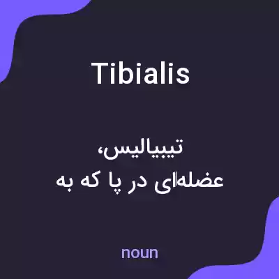 معنی tibialis به فارسی