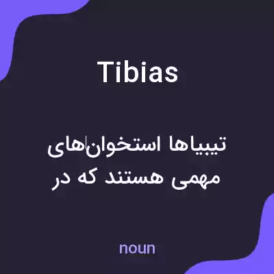 معنی tibias به فارسی معنی tibias به فارسی