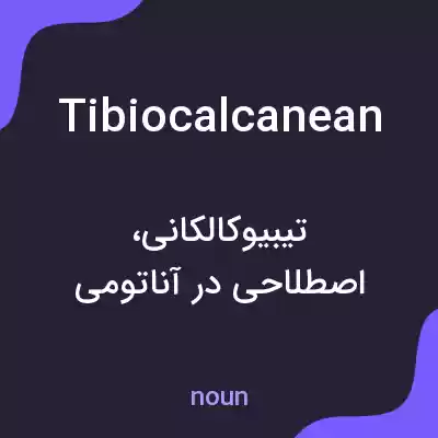 معنی tibiocalcanean به فارسی معنی tibiocalcanean به فارسی